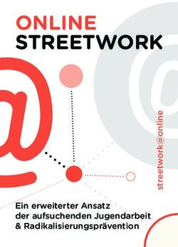 ONLINE STREETWORK - Ein erweiterter Ansatz der aufsuchenden Jugendarbeit & Radikalisierungspr&auml;vention - AVP eV