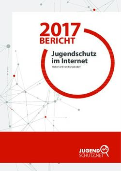2017 BERICHT Jugendschutz im Internet - Jugendschutz.net