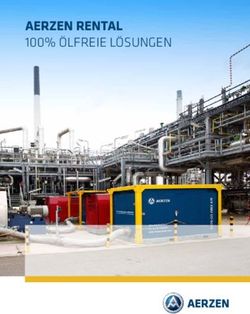 AERZEN RENTAL 100% &Ouml;LFREIE L&Ouml;SUNGEN