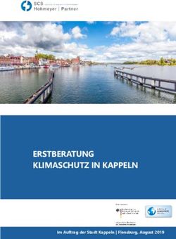 ERSTBERATUNG KLIMASCHUTZ IN KAPPELN - Im Auftrag der Stadt Kappeln | Flensburg, August 2019
