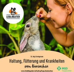 Von Kaninchen Haltung, Fütterung und Krankheiten - Dr. Anja Ewringmann - Lieblingstier