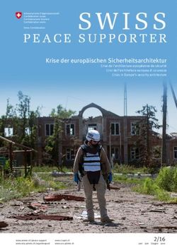 Krise der europ&auml;ischen Sicherheitsarchitektur - DFAE
