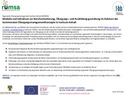 Modelle und Initiativen zur Berufsorientierung, &Uuml;bergangs- und Ausbildungsgestaltung im Rahmen der kommunalen &Uuml;bergangsmanagementkonzepte in ...