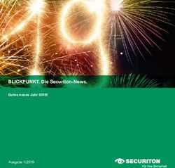 BLICKPUNKT. Die Securiton-News - Gutes neues Jahr 2019! Ausgabe 1/2019