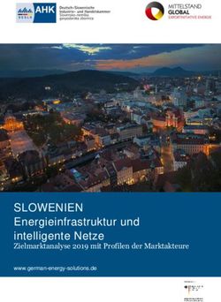 SLOWENIEN Energieinfrastruktur und intelligente Netze - Zielmarktanalyse 2019 mit Profilen der Marktakteure www.german-energy-solutions.de ...