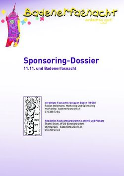 Badenerfasnacht Sponsoring-Dossier - 11.11. und Badenerfasnacht - Fasnacht Baden