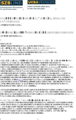 &Uuml;bersicht &uuml;ber die Forschungsarbeiten (Stand: August 2018) - Schweizerischer Zentralverein f&uuml;r das Blindenwesen