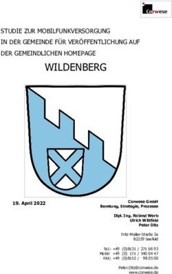 WILDENBERG STUDIE ZUR MOBILFUNKVERSORGUNG IN DER GEMEINDE F&Uuml;R VER&Ouml;FFENTLICHUNG AUF DER GEMEINDLICHEN HOMEPAGE