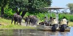 Victoria Falls - Chobe Fluss - Botswana Safari Die besondere Reise im September 2020