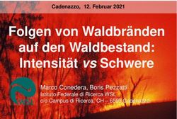 Folgen von Waldbr&auml;nden auf den Waldbestand: Intensit&auml;t vs Schwere - Marco Conedera, Boris Pezzatti - GWG-GSM