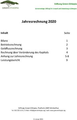 Jahresrechnung 2020 - Stiftung Green Ethiopia