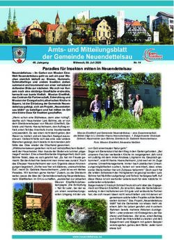 Paradies f&uuml;r Insekten mitten in Neuendettelsau