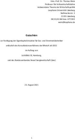 Gutachten - Bundesverband Neue Energiewirtschaft eV