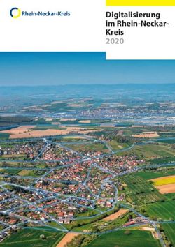 Digitalisierung im Rhein-Neckar-Kreis 2020 - Rhein-Neckar-Kreis