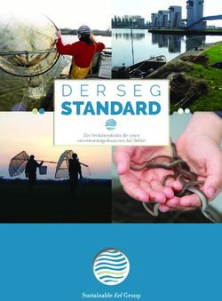 STANDARD DER SEG EIN VERHALTENSKODEX FÜR EINEN VERANTWORTUNGSBEWUSSTEN AAL-SEKTOR - SUSTAINABLE EEL GROUP
