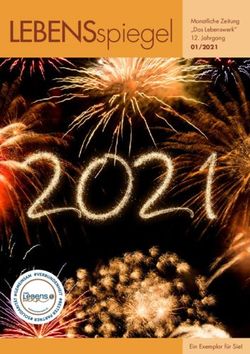 LEBENSspiegel Monatliche Zeitung "Das Lebenswerk" 12. Jahrgang 01/2021 - Ein Exemplar f&uuml;r Sie!