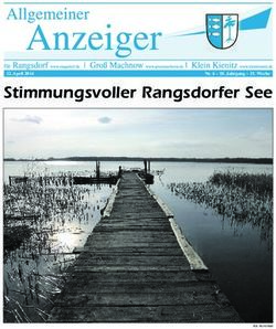 Stimmungsvoller Rangsdorfer See
