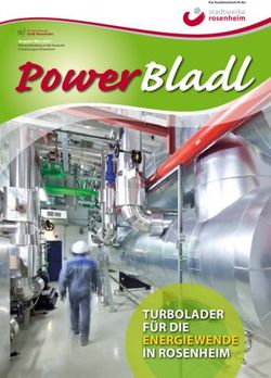 TurbolAder f&uuml;r die energiewende in rosenheiM - Ausgabe M&auml;rz 2013 Postwurfsendung an alle Haushalte - Stadtwerke Rosenheim