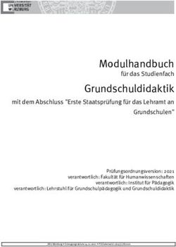 Modulhandbuch f&uuml;r das Studienfach