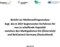 Bericht zur Marktnachfrageanalyse bzgl. des in 2017 beginnenden Verfahrens f&uuml;r neu zu schaffende Kapazit&auml;t zwischen den Marktgebieten Ost ...