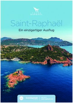 Saint-Rapha&euml;l Ein einzigartiger Ausflug - saint-raphael.com - Saint-Rapha&euml;l