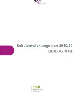 Schulentwicklungsplan 2019/20 BG/BRG Weiz