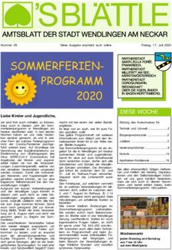 SOMMERFERIEN-PROGRAMM 2020 - lokalmatador