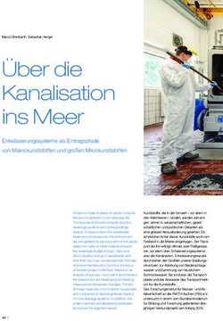 &Uuml;ber die Kanalisation ins Meer - Entw&auml;sserungssysteme als Eintragspfade von Makrokunststoffen und gro&szlig;en Mikrokunststoffen - fiw.rwth-aachen.de