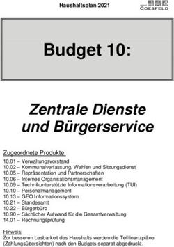 Budget 10: Zentrale Dienste und B&uuml;rgerservice - Stadt ...