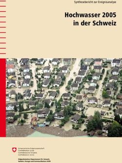 Hochwasser 2005 in der Schweiz - Synthesebericht zur Ereignisanalyse