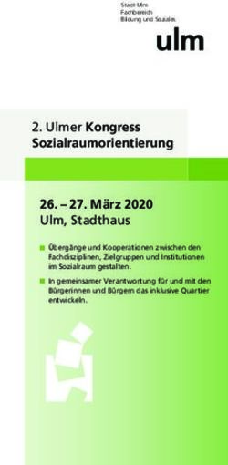 Ulmer Kongress Sozialraumorientierung - BKJ