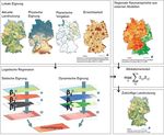 Siedlungsfl&auml;chen-projektion 2045 - 08/2020 Teilbericht der Klimawirkungs- und Vulnerabilit&auml;tsanalyse 2021 - Umweltbundesamt