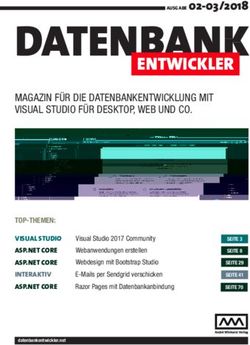 DATENBANK ENTWICKLER - André Minhorst Verlag