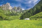 Guten Tag liebe Leserin, lieber Leser! - Die ober&ouml;sterreichische Be- Tips.at