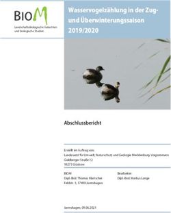 Wasservogelzählung in der Zug- und Überwinterungssaison 2019/2020 - LUNG MV