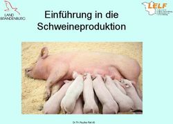 Einf&uuml;hrung in die Schweineproduktion - Dr.Th.Paulke Ref.45