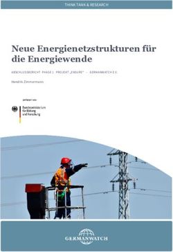 Neue Energienetzstrukturen f&uuml;r die Energiewende