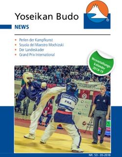 Yoseikan Budo NEWS Perlen der Kampfkunst Scuola del Maestro Mochizuki Der Landeskader Grand Prix International