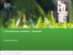 Chronifizierung -Ursachen - Strategien - Pörtschach 2018