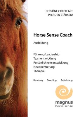 Magnus horse sense - Horse Sense Coach