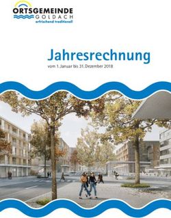 Jahresrechnung vom 1. Januar bis 31. Dezember 2018 - Ortsgemeinde Goldach