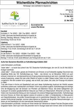 W&ouml;chentliche Pfarrnachrichten - katholisch in Lippetal
