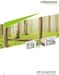 DSB Twinhead NG XM D&uuml;nnschnitt-Bands&auml;ge - Wintersteiger ...