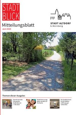 STADT BLICK Mitteilungsblatt - Themen dieser Ausgabe: N-LAND