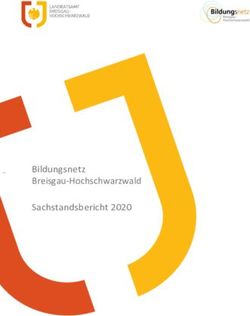 Bildungsnetz Breisgau-Hochschwarzwald Sachstandsbericht 2020