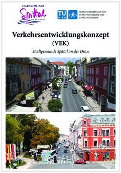 Verkehrsentwicklungskonzept - (VEK) Stadtgemeinde Spittal an der Drau - Stadtgemeinde Spittal ...