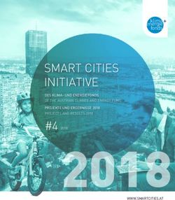SMART CITIES INITIATIVE - #4 2018 DES KLIMA- UND ENERGIEFONDS OF THE AUSTRIAN CLIMATE AND ENERGY FUND