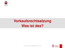 Was ist das? Vorkaufsrechtsatzung - Vorkaufsrechtsatzung Seevorstadt - Stadt Cottbus