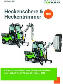 Heckenschere & Heckentrimmer - Neu - Fakten und technische Daten zur Heckenschere und zum Heckentrimmer f&uuml;r den City Ranger 2260 - Egholm.de