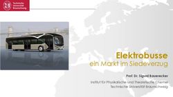 Elektrobusse ein Markt im Siedeverzug - EURABUS